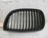 Radiator Grille BMW 1er (E87)