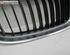 Radiator Grille BMW 3er Touring (E91)