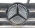 Kühlergrill Grill Emblem Schwarz / Silber MERCEDES-BENZ A-KLASSE (W169) A 180 CDI 80 KW