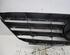 Radiator Grille MERCEDES-BENZ B-CLASS (W245)