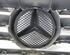 Radiator Grille MERCEDES-BENZ B-CLASS (W245)