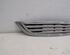 Radiator Grille MINI MINI (R50, R53)