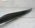 Trim Strip Mudguard RENAULT Scénic III (JZ0/1), RENAULT Grand Scénic III (JZ0/1)