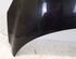 Motorhaube NV676  Pearlescent black RENAULT GRAND SCÉNIC III (JZ0/1_) 1.4 16V 96 KW