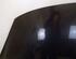 Motorhaube NV676  Pearlescent black RENAULT GRAND SCÉNIC III (JZ0/1_) 1.4 16V 96 KW