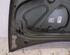 Motorhaube C67 Gris Olive RENAULT CLIO III GRANDTOUR (KR0/1_) 1.2 16V 55 KW