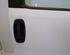 Door FIAT DOBLO Cargo (263_)