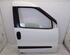 Door FIAT DOBLO Cargo (263_)