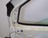 Door FIAT DOBLO Cargo (263_)