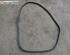 Door Seal FORD Galaxy (WA6), FORD S-Max (WA6)