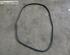 Door Seal FORD Galaxy (WA6), FORD S-Max (WA6)