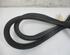 Door Seal OPEL Insignia A (G09)