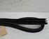 Door Seal JAGUAR XF (CC9, J05)