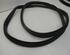 Door Seal RENAULT Captur I (H5, J5), RENAULT Clio IV (BH)