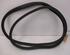 Door Seal RENAULT Captur I (H5, J5), RENAULT Clio IV (BH)