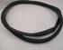 Door Seal RENAULT Captur I (H5, J5), RENAULT Clio IV (BH)