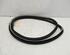 Door Seal RENAULT Laguna III Grandtour (KT0/1)