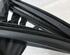 Door Seal OPEL INSIGNIA A Sports Tourer (G09), OPEL INSIGNIA A Country Tourer (G09)