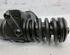 Injector Nozzle VW Sharan (7M6, 7M8, 7M9)