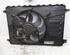 Radiator Electric Fan  Motor FORD MONDEO IV (BA7)