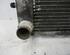 Radiator RENAULT Clio III (BR0/1, CR0/1)