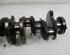 Crankshaft FORD Focus C-Max (--)