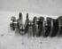 Crankshaft FORD C-Max II (DXA/CB7, DXA/CEU), FORD Grand C-Max (DXA/CB7, DXA/CEU)