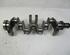 Crankshaft NISSAN X-Trail (T30)