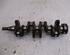 Crankshaft FORD FIESTA VI (CB1, CCN)