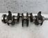 Crankshaft VW GOLF V (1K1), VW GOLF VI (5K1)