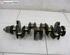 Crankshaft RENAULT LAGUNA II Grandtour (KG0/1_)