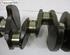 Crankshaft RENAULT LAGUNA II Grandtour (KG0/1_)