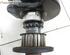 Crankshaft FORD FOCUS II Turnier (DA_, FFS, DS)