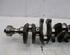 Crankshaft BMW 3 Touring (E91)