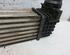 Intercooler RENAULT MEGANE III Hatchback (BZ0/1_, B3_)