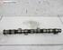 Camshaft SAAB 9-3 (D75, D79, E79, YS3F)