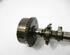 Camshaft MAZDA 2 (DE, DH)