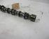 Camshaft AUDI A6 (4F2, C6)