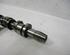 Camshaft FIAT Freemont (345), DODGE Journey (--)