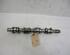 Camshaft FIAT Freemont (345), DODGE Journey (--)