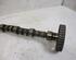 Camshaft PEUGEOT 206+ (2L, 2M)