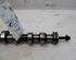 Camshaft PEUGEOT 207 CC (WD)