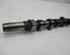 Camshaft FORD Transit Connect (P65, P70, P80)