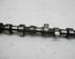 Camshaft FORD Transit Connect (P65, P70, P80)