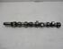 Camshaft FORD Transit Connect (P65, P70, P80)