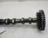 Camshaft MERCEDES-BENZ E-Klasse T-Model (S211)