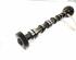 Camshaft AUDI A6 Allroad (4FH, C6), AUDI A6 Avant (4F5, C6)