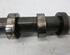 Camshaft AUDI A8 (4H2, 4H8, 4HC, 4HL)