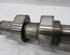 Camshaft VW Polo (6C1, 6R1)