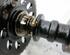 Camshaft MITSUBISHI Colt VI (Z2A, Z3A)